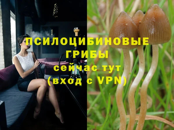 спайс Заводоуковск
