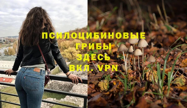 мдпв Заволжск